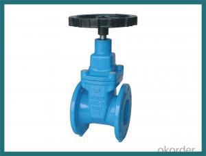 Gate Valve with Competitive Price with 60year Old Valve Manufacturer System 1