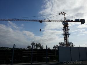 Tower Crane TC5516 Construction Equipment Building Machinery Distributor