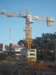 Tower Crane TC7021 Construction Equipment Building Machinery Distributor