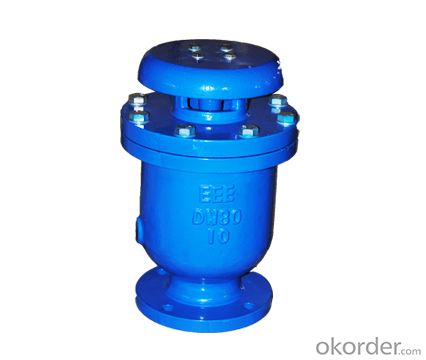 Air Evacuation Valve with Solar Water Heater Exhaust Valves on Sale from China