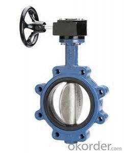 Butterfly Valve on Sale with Worm Gear Actuated Flange Triple Eccentric from China