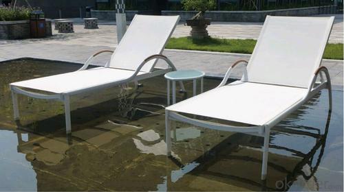 Funiture Outdoor Sun Lounger with PVC PP Wood Material System 1