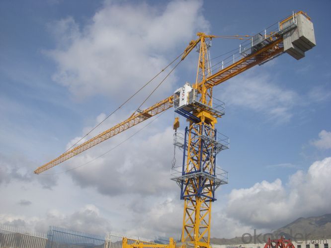 Tower Crane TC6014 Construction Equipment Sales Building Machinery