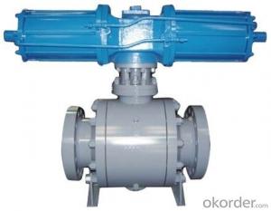 Ball Valve with China Professional Manufacturer on Sale System 1