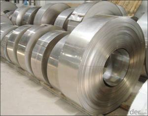 Cold and Hot Rolled Aisi 306 Stainless Steel Coil Strip with Top Quality