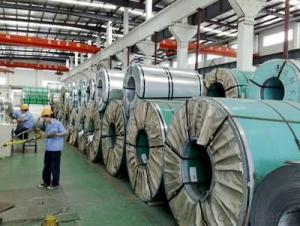 Cold and Hot Rolled Stainless Steel Coil 304 with Top Quality System 1