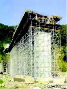 Ring Lock  Scaffolding for Repairing Large-Scale Construction