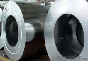 Cold and Hot Rolled Sus 409 Stainless Steel Coil with Top Quality