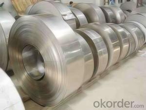 Cold and Hot Rolled Stainless Steel Coil Price with Top Quality