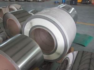 Cold and Hot Rolled Tisco Stainless Steel Coil with Top Quality