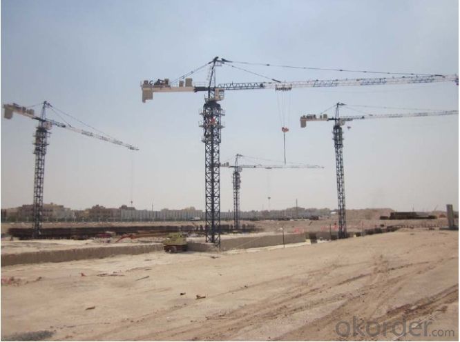 Tower Crane TC5516 Construction Equipment Wholesaler Sales System 1