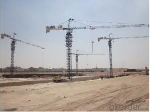 Tower Crane TC5516 Construction Equipment Wholesaler Sales System 1