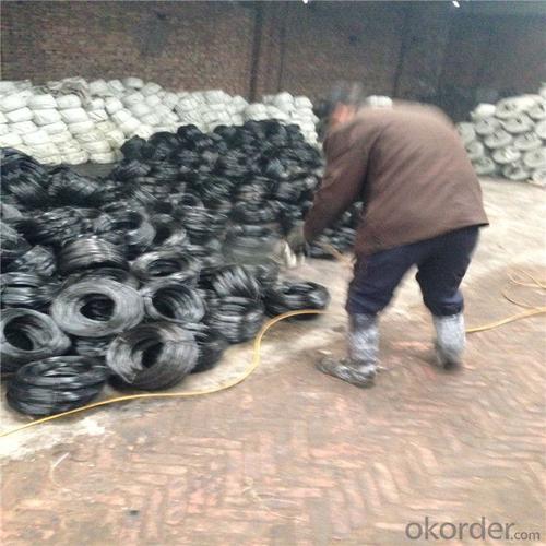 bwg20blac ironwire、black annealed wire、black wire System 1