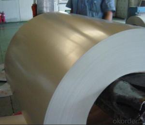 Pre-painted Galvanized Steel Coil/Color Coated SGCC SPCC System 1