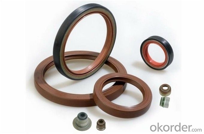 NQK TC rubber mechanical oil seal Framework Oil Seal Cfw Seals System 1