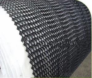Tri HDPE Geocomposite Drainage for Slope Protection Best Quality System 1