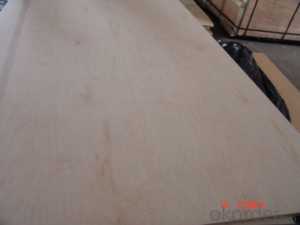 Rotary Maple Face and Back Plywood Poplar Core for furniture