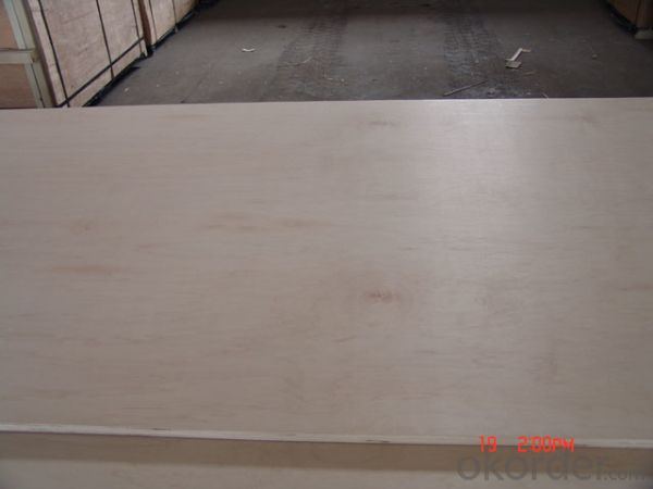 Rotary Maple Face and Back Plywood Poplar Core for furniture