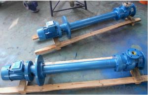 Vertical Tubine Water Pump for Agriculture System 1