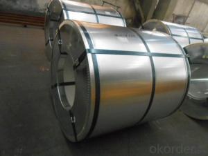 Hot Dipped Galvanized Steel in Coil in Coils