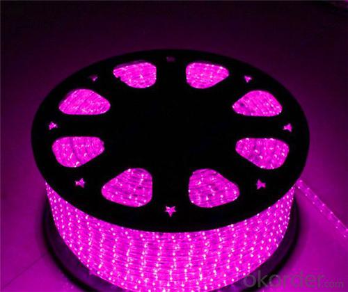 Black Light UV Strip Led Cheap Led Strip Light from China System 1