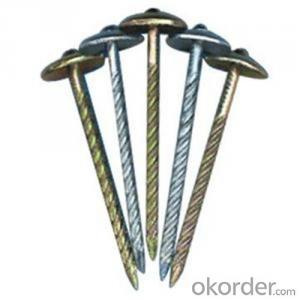 ROOFING NAIL WITH UMBRELLA with high quality and reasonable price