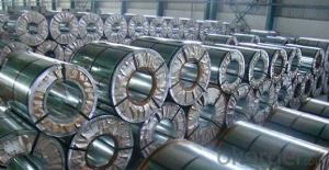 Prepainted Galvanized Steel Coil for Building Decoration