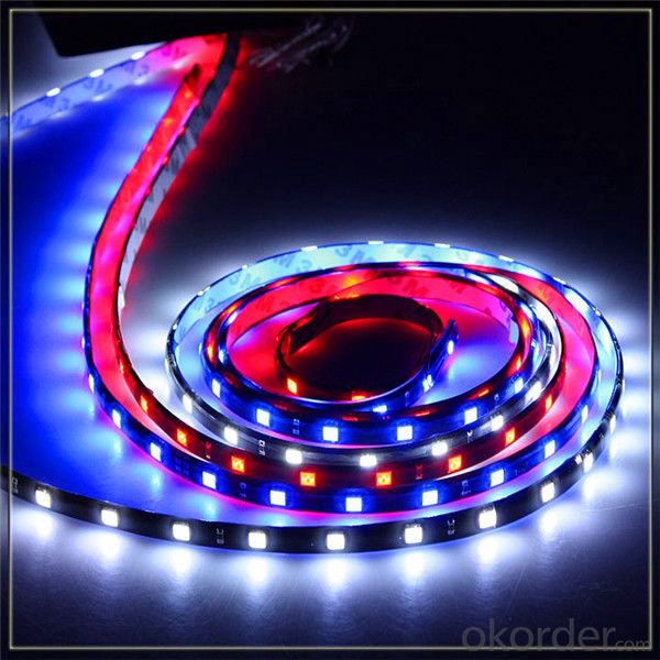 Rechargeable Led Strip Light Remote Controlled Battery Operated Led Strip Light
