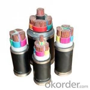 PVC  insulated PVC  sheathed power cable System 1