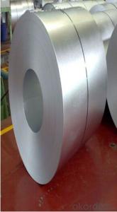Galvanized Steel Sheet in Coils with Prime Quality and Lowest Price System 1