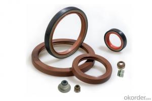 Classic Automotive and Industrial Rubber Covered O.D NBR TC Dual Lip Dustproof Mechanical Oil Seal System 1