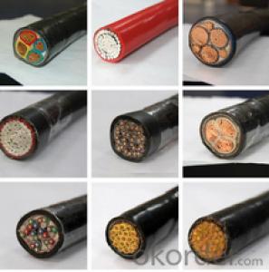 Aluminum/Copper XLPE Insulation Low Voltage Electric Power Cable Price