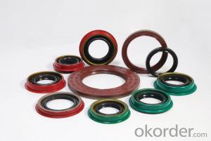 Automotive and Industrial Rubber Covered O.D NBR TC Dual Lip Dustproof Mechanical Oil Seal