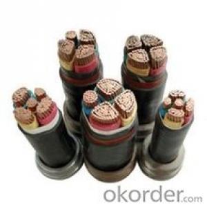 0.6/1KV,low voltage,copper conductor,XLPE insulated,power Cable