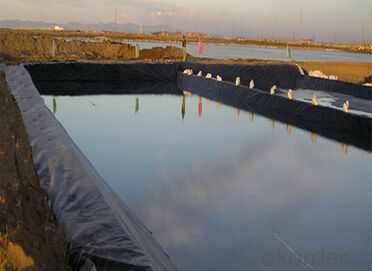 Fish Farm Pond Liner HDPE Geomembrane Smooth 2mm or 0.5mm