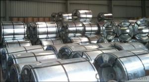 Galvanized Steel Sheet in Ciols with Prime Quality Best  Seller System 1