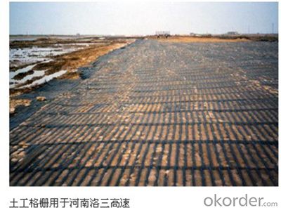 Uniaxial Plastic Geogrid CE certificate good quality System 1