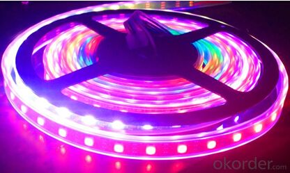 Led strip light for Led  Super Bright with Led Waterproof light