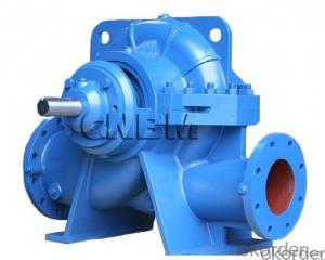 Single Stage Double Suction Water Pump for Irrigation