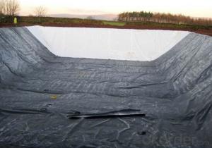 Non Woven Black Geotextiles Factory Supply 200g/m2 for Earthwork