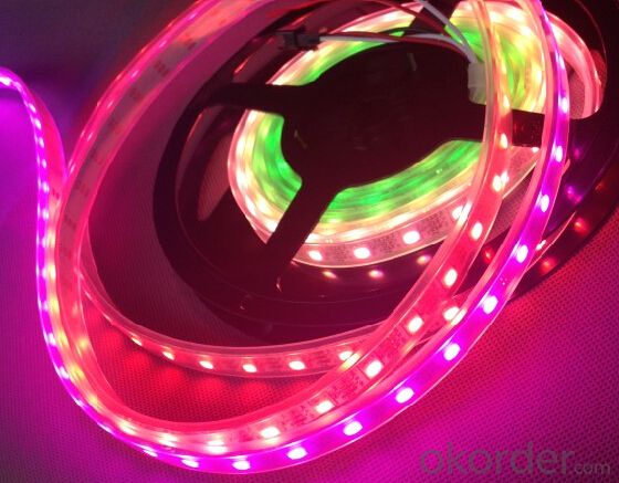 Led strip light for WS2811 48LED series led strip with Led Waterproof light