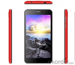 6 inch Tablet PC IPS MTK8312 Dual core 0.3+5.0MP System 1