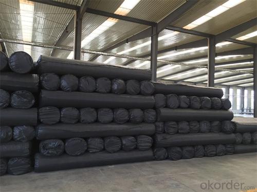 Biaxial Water-soluble PVC Coated  Polyester Geogrid 40*40Kn PP Biaxial Plastic Geogrid System 1