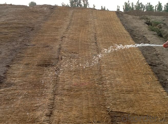Nutrition Geotextile Mat  Grass Seed StripGrass Seed Mat used in Greening System 1