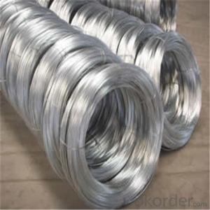 Galvanized Iron Wire/Low carbon steel wire/Hot Dipped or Electro Galvanized System 1