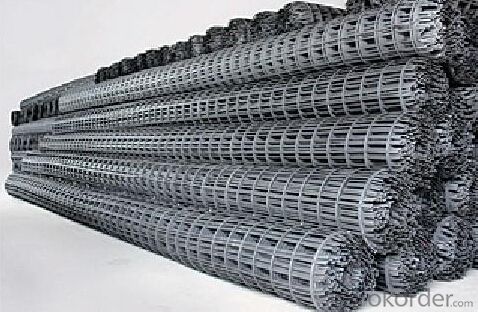 High Tensile Geogrid Plastic Geogrid with the best price System 1