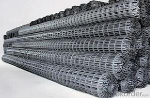 High Tensile Geogrid Plastic Geogrid with the best price
