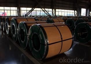 Cold and Hot Rolled 202 Stainless Steel Coil with Top Quality