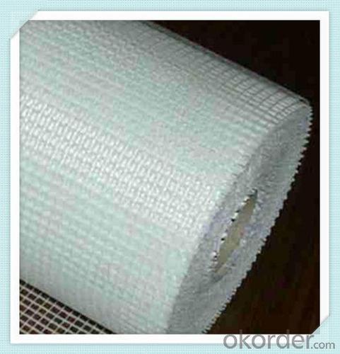 Fiberglass Mesh Roll Reinforcement 100g System 1