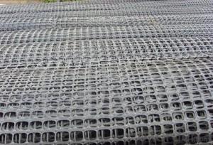 High Tensile Geogrid Plastic Geogrid with the Factory supply